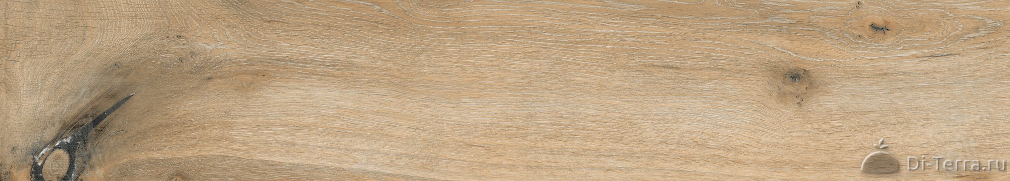 Ab 1162W Wildwood Beige 1200×200